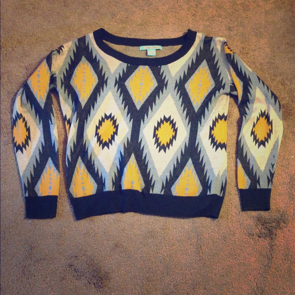 Cropped flying tomato brand sweater